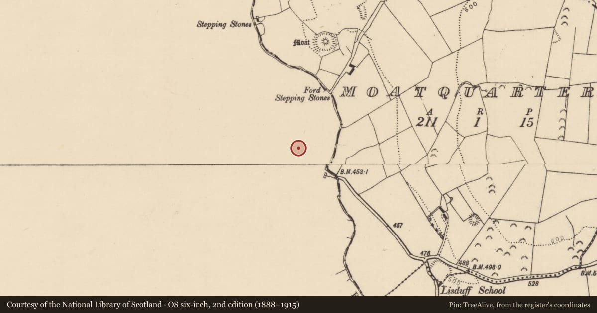 Ordnance Survey six-inch map, 2nd edition (1888–1915) covering the location of Graveyard, Drumroe, County Offaly, with a pin at the register's coordinates