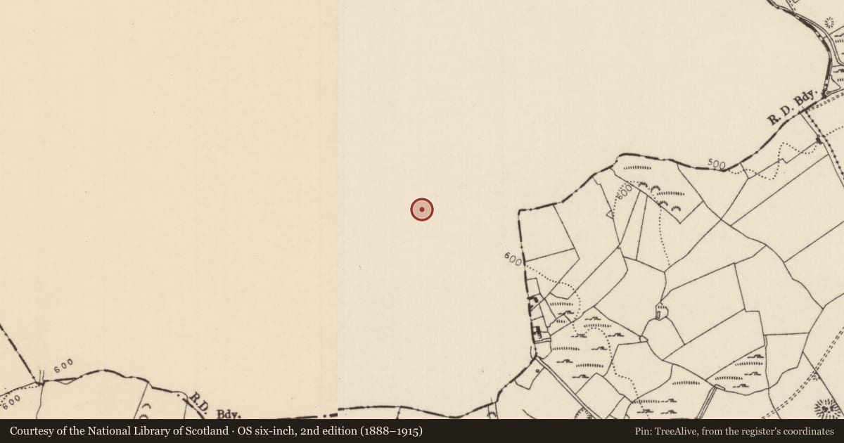Ordnance Survey six-inch map, 2nd edition (1888–1915) covering the location of Bawn, Castleroan, County Offaly, with a pin at the register's coordinates