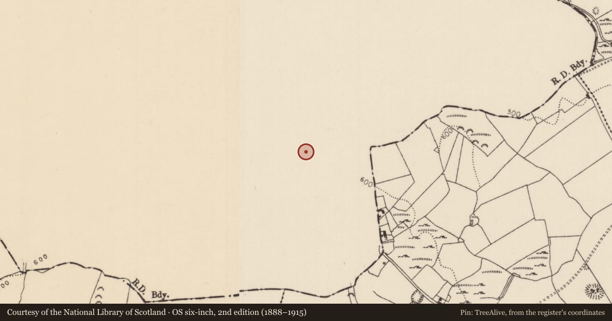 Ordnance Survey six-inch map, 2nd edition (1888–1915) covering the location of Castle - unclassified, Castleroan, County Offaly, with a pin at the register's coordinates