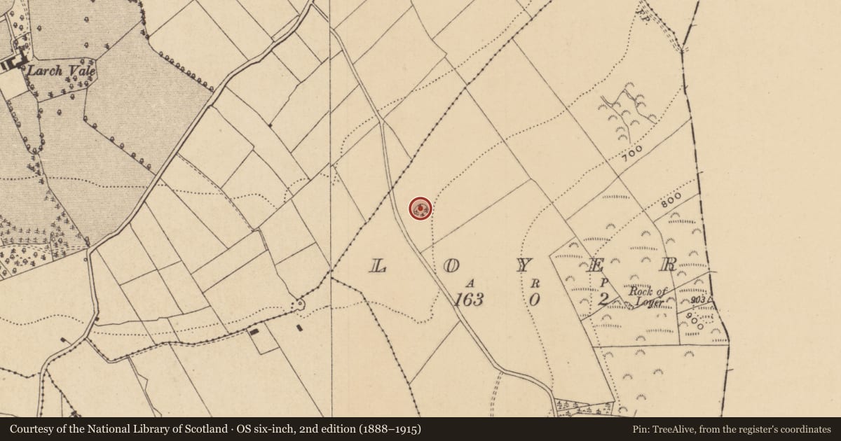 Ordnance Survey six-inch map, 2nd edition (1888–1915) covering the location of Designed landscape - tree-ring, Loyer, County Offaly, with a pin at the register's coordinates