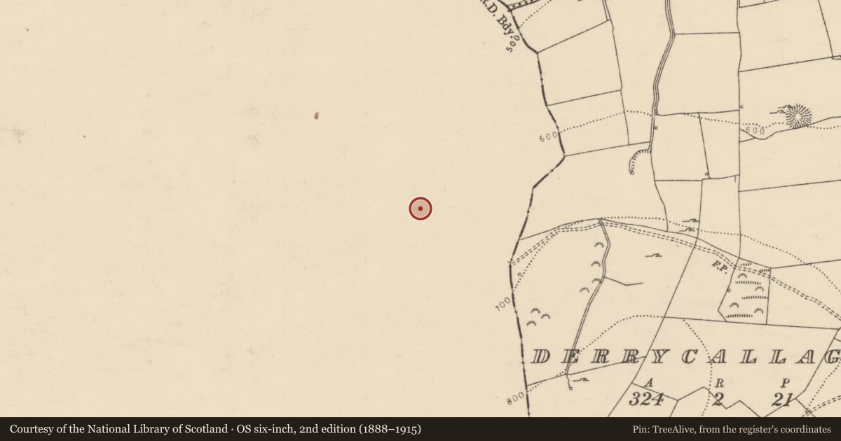 Ordnance Survey six-inch map, 2nd edition (1888–1915) covering the location of Enclosure, Loyer, County Offaly, with a pin at the register's coordinates