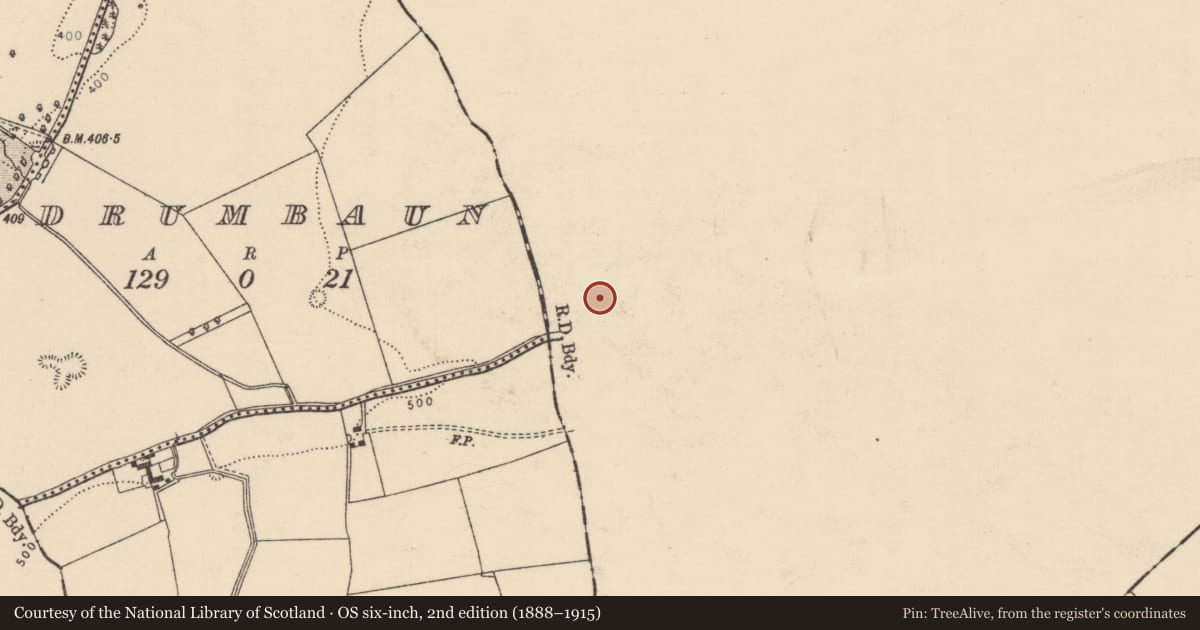 Ordnance Survey six-inch map, 2nd edition (1888–1915) covering the location of Ringfort - rath, Busherstown, County Offaly, with a pin at the register's coordinates