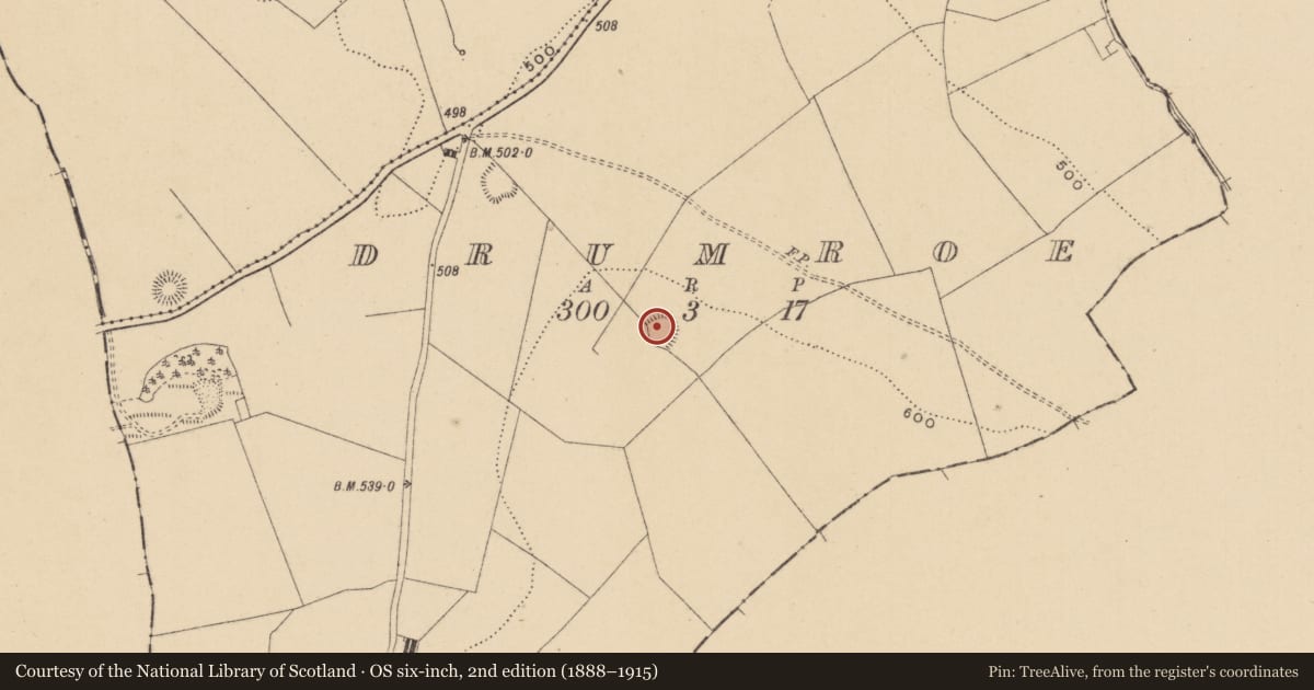 Ordnance Survey six-inch map, 2nd edition (1888–1915) covering the location of Ringfort - rath, Drumroe, County Offaly, with a pin at the register's coordinates