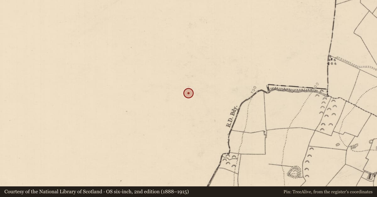 Ordnance Survey six-inch map, 2nd edition (1888–1915) covering the location of Ringfort - rath, Lisdavuck, County Offaly, with a pin at the register's coordinates