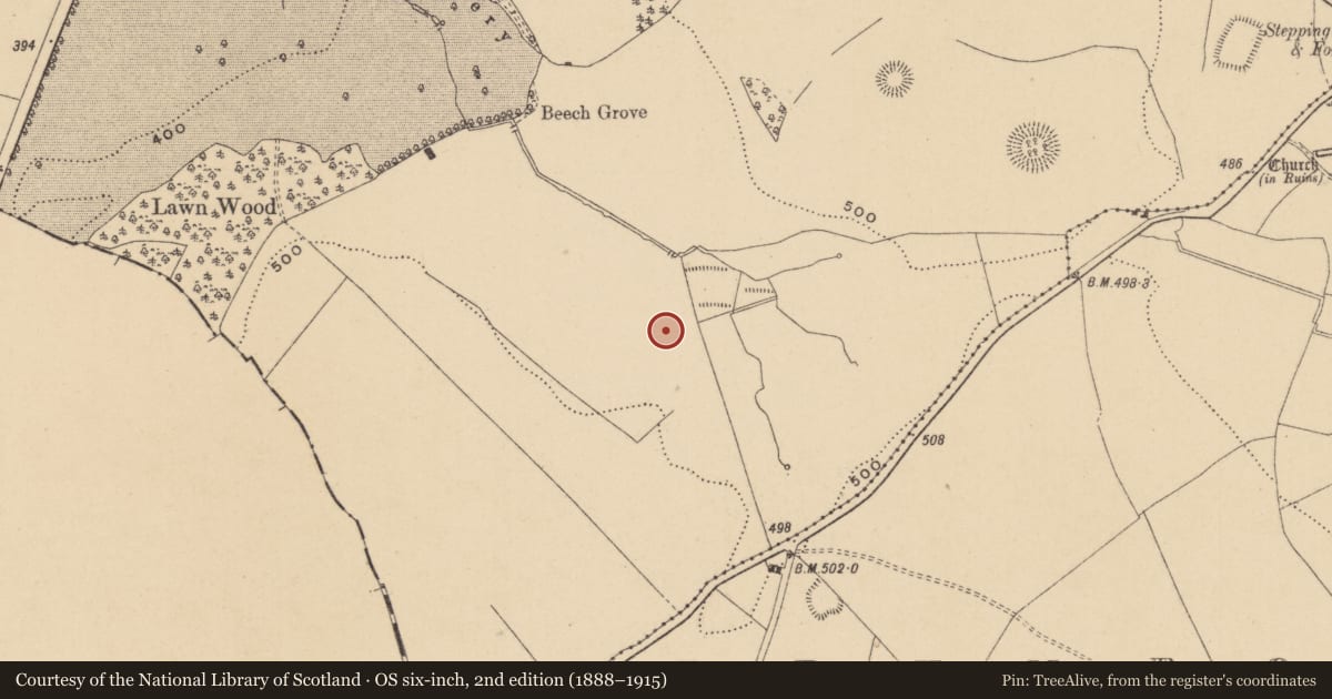 Ordnance Survey six-inch map, 2nd edition (1888–1915) covering the location of Moated site, Busherstown, County Offaly, with a pin at the register's coordinates