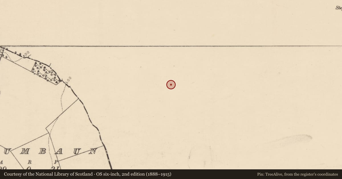 Ordnance Survey six-inch map, 2nd edition (1888–1915) covering the location of Kiln - corn-drying, Busherstown, County Offaly, with a pin at the register's coordinates