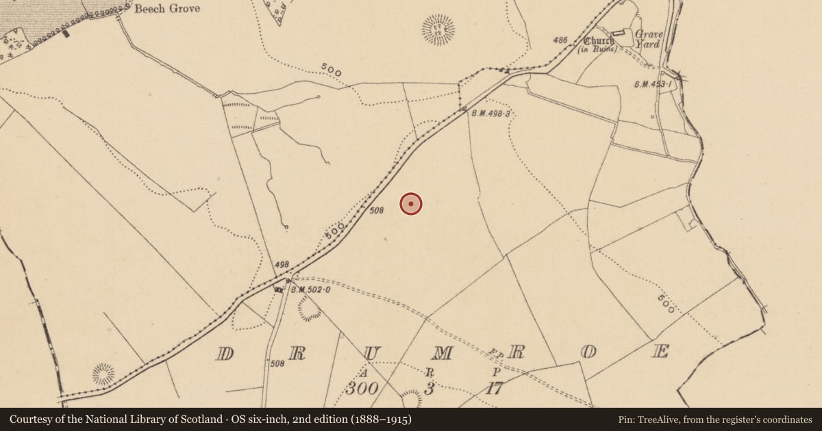 Ordnance Survey six-inch map, 2nd edition (1888–1915) covering the location of House - Bronze Age, Drumroe, County Offaly, with a pin at the register's coordinates