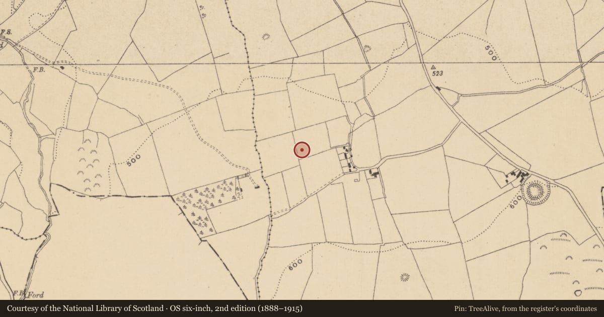 Ordnance Survey six-inch map, 2nd edition (1888–1915) covering the location of House - prehistoric, Castleroan, County Offaly, with a pin at the register's coordinates