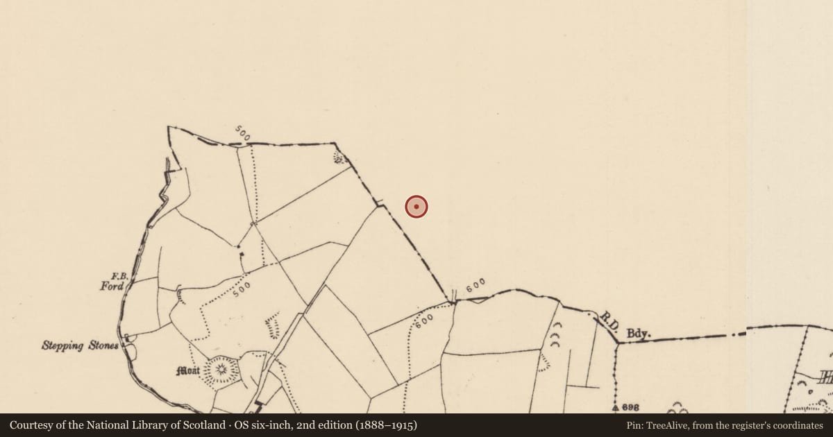 Ordnance Survey six-inch map, 2nd edition (1888–1915) covering the location of Structure, Loughan, County Offaly, with a pin at the register's coordinates