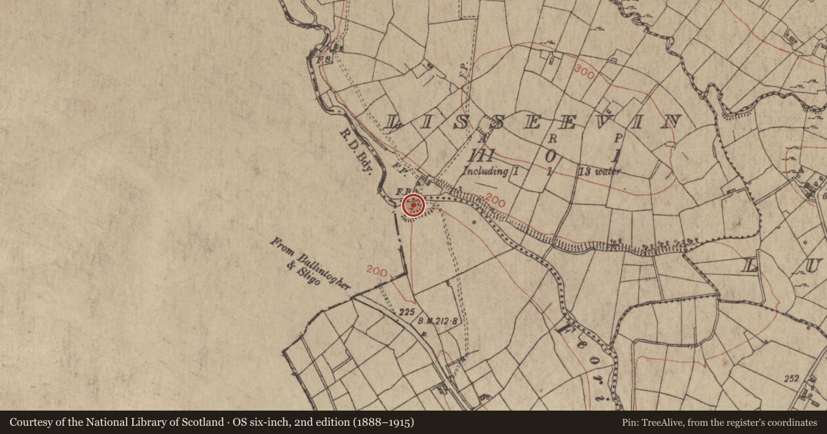 Ordnance Survey six-inch map, 2nd edition (1888–1915) covering the location of Earthwork, Kilmacroy, County Roscommon, with a pin at the register's coordinates