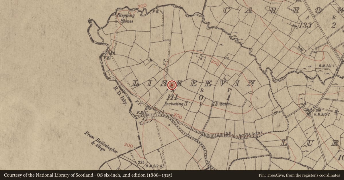 Ordnance Survey six-inch map, 2nd edition (1888–1915) covering the location of Moated site, Lisseevin, County Roscommon, with a pin at the register's coordinates