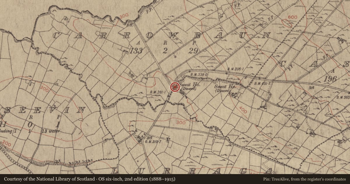 Ordnance Survey six-inch map, 2nd edition (1888–1915) covering the location of Sweathouse, Cashel, County Roscommon, with a pin at the register's coordinates