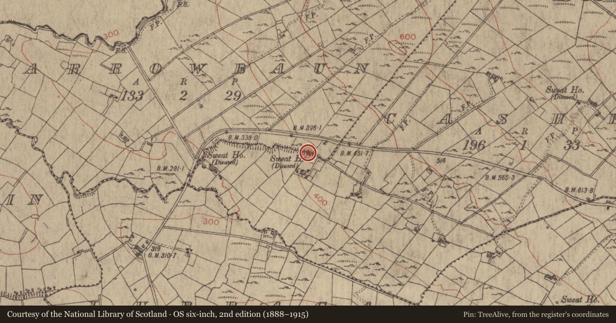 Ordnance Survey six-inch map, 2nd edition (1888–1915) covering the location of Sweathouse, Cashel, County Roscommon, with a pin at the register's coordinates