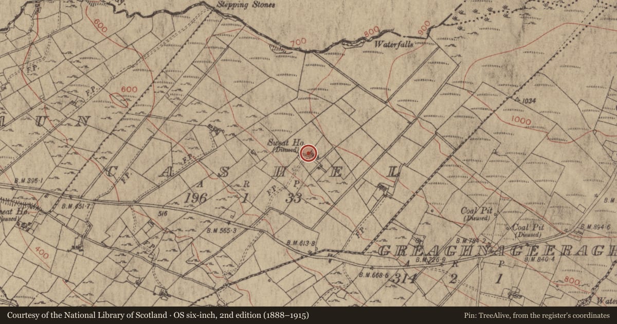 Ordnance Survey six-inch map, 2nd edition (1888–1915) covering the location of Sweathouse, Cashel, County Roscommon, with a pin at the register's coordinates