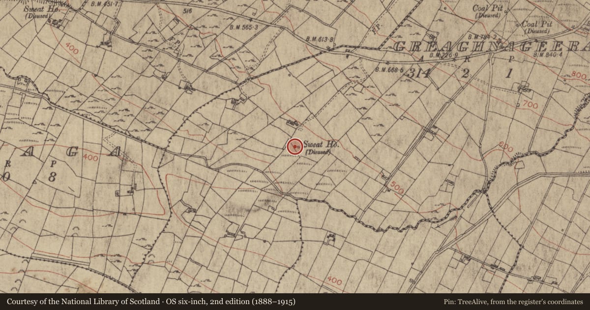 Ordnance Survey six-inch map, 2nd edition (1888–1915) covering the location of Sweathouse, Greaghnageeragh, County Roscommon, with a pin at the register's coordinates