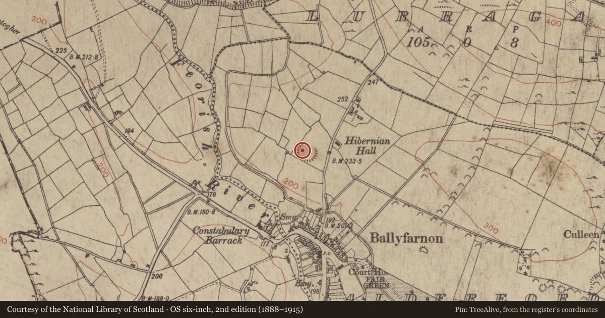 Ordnance Survey six-inch map, 2nd edition (1888–1915) covering the location of Ringfort - rath, Alderford, County Roscommon, with a pin at the register's coordinates