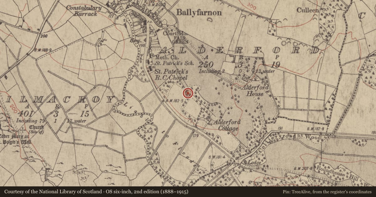 Ordnance Survey six-inch map, 2nd edition (1888–1915) covering the location of Ringfort - rath, Alderford, County Roscommon, with a pin at the register's coordinates