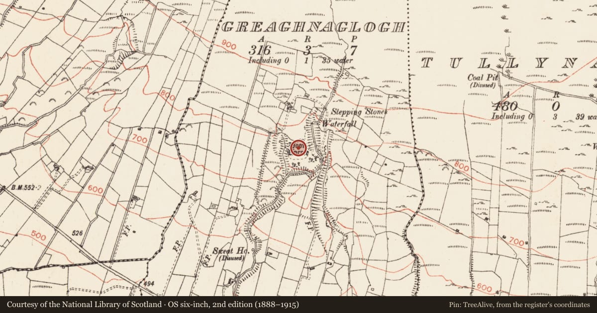 Ordnance Survey six-inch map, 2nd edition (1888–1915) covering the location of Promontory fort - inland, Greaghnaglogh, County Roscommon, with a pin at the register's coordinates