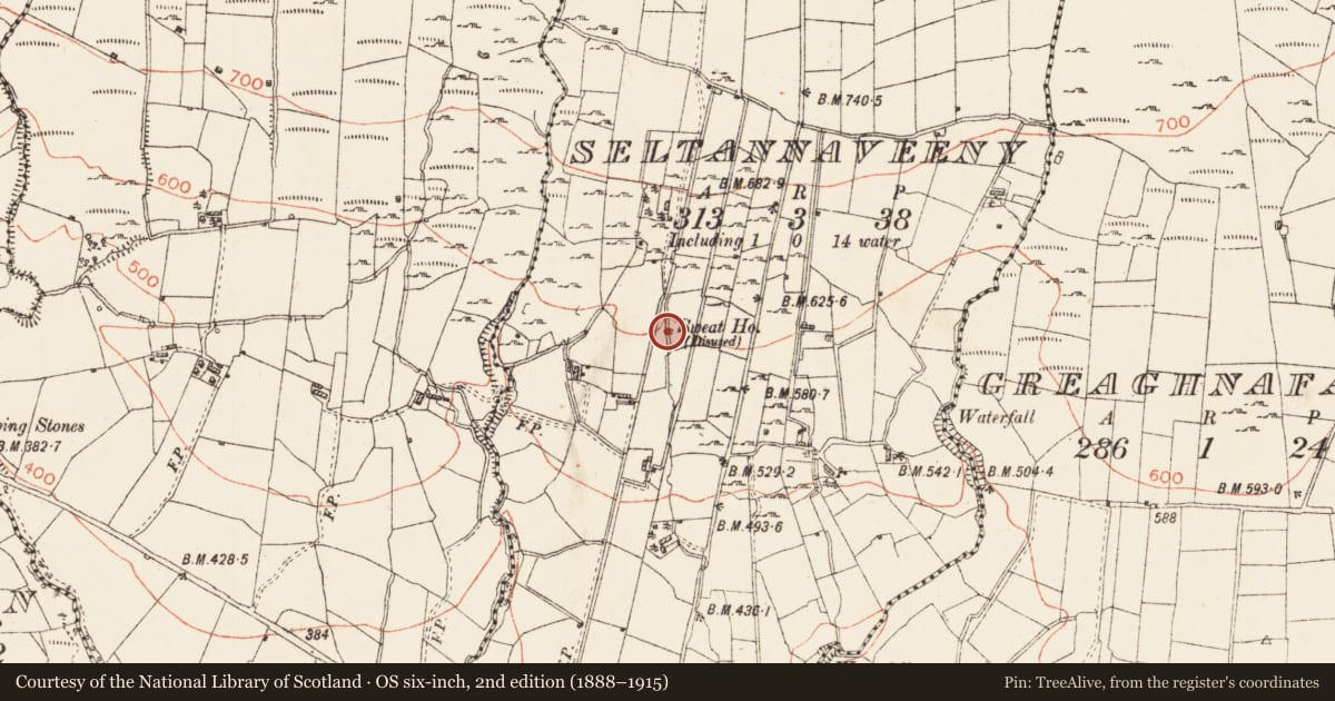 Ordnance Survey six-inch map, 2nd edition (1888–1915) covering the location of Sweathouse, Seltannaveeny, County Roscommon, with a pin at the register's coordinates