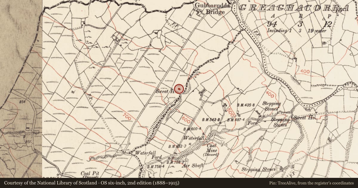Ordnance Survey six-inch map, 2nd edition (1888–1915) covering the location of Sweathouse, Gubbarudda, County Roscommon, with a pin at the register's coordinates