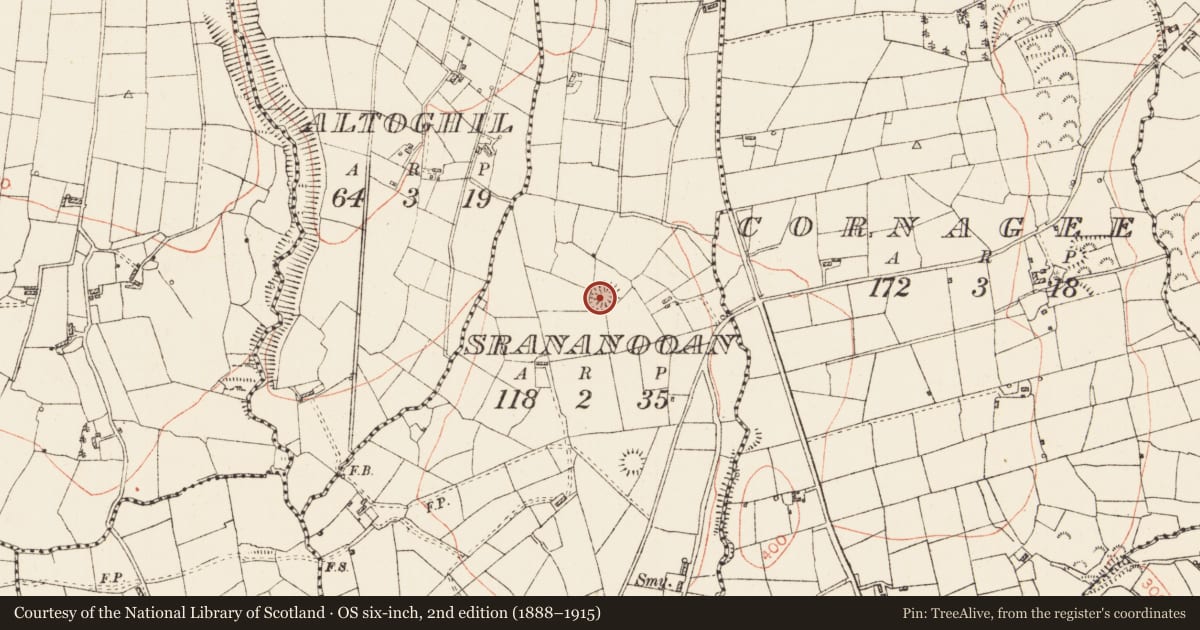 Ordnance Survey six-inch map, 2nd edition (1888–1915) covering the location of Ringfort - rath, Srananooan, County Roscommon, with a pin at the register's coordinates