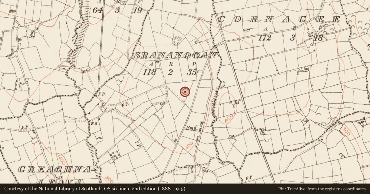 Ordnance Survey six-inch map, 2nd edition (1888–1915) covering the location of Ringfort - rath, Srananooan, County Roscommon, with a pin at the register's coordinates