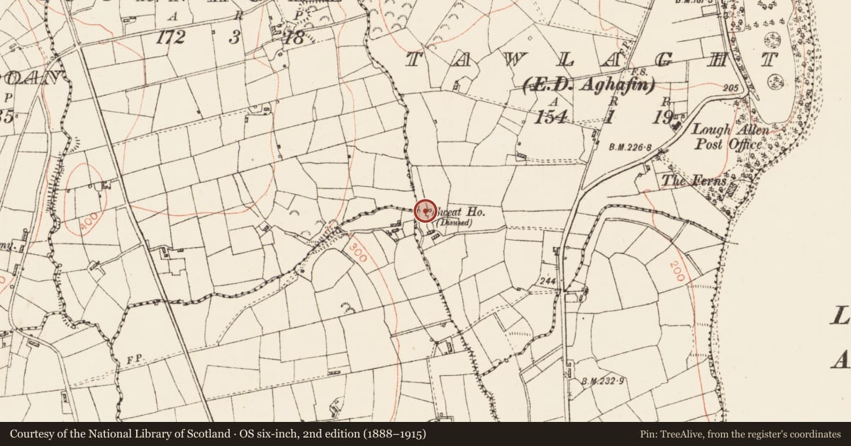 Ordnance Survey six-inch map, 2nd edition (1888–1915) covering the location of Sweathouse, Tawlaght, County Roscommon, with a pin at the register's coordinates