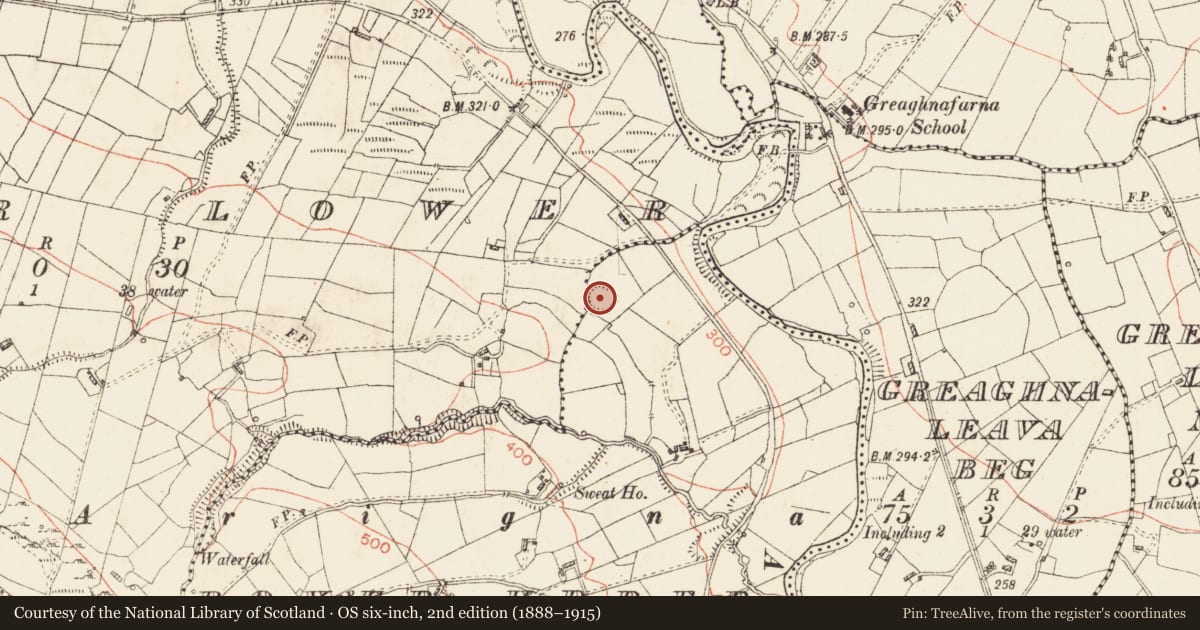 Ordnance Survey six-inch map, 2nd edition (1888–1915) covering the location of Ringfort - rath, Rover Upper, County Roscommon, with a pin at the register's coordinates