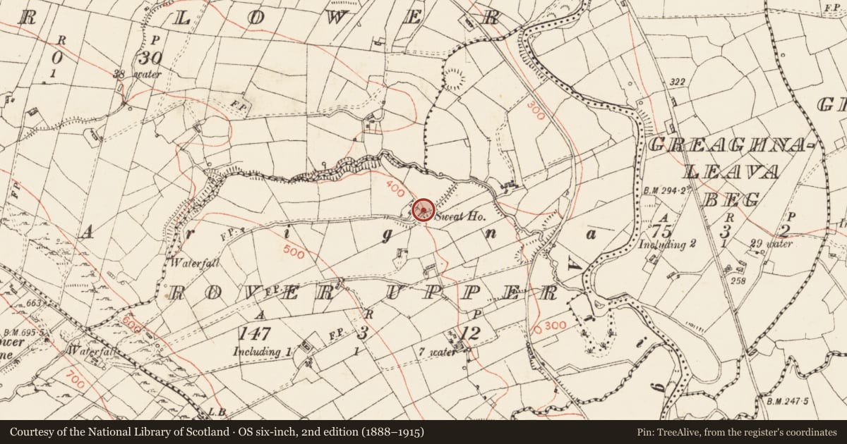 Ordnance Survey six-inch map, 2nd edition (1888–1915) covering the location of Sweathouse, Rover Upper, County Roscommon, with a pin at the register's coordinates