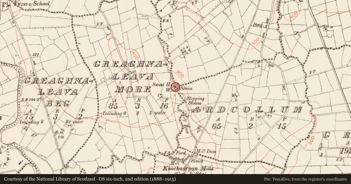 Ordnance Survey six-inch map, 2nd edition (1888–1915) covering the location of Sweathouse, Greaghnaleava More, County Roscommon, with a pin at the register's coordinates