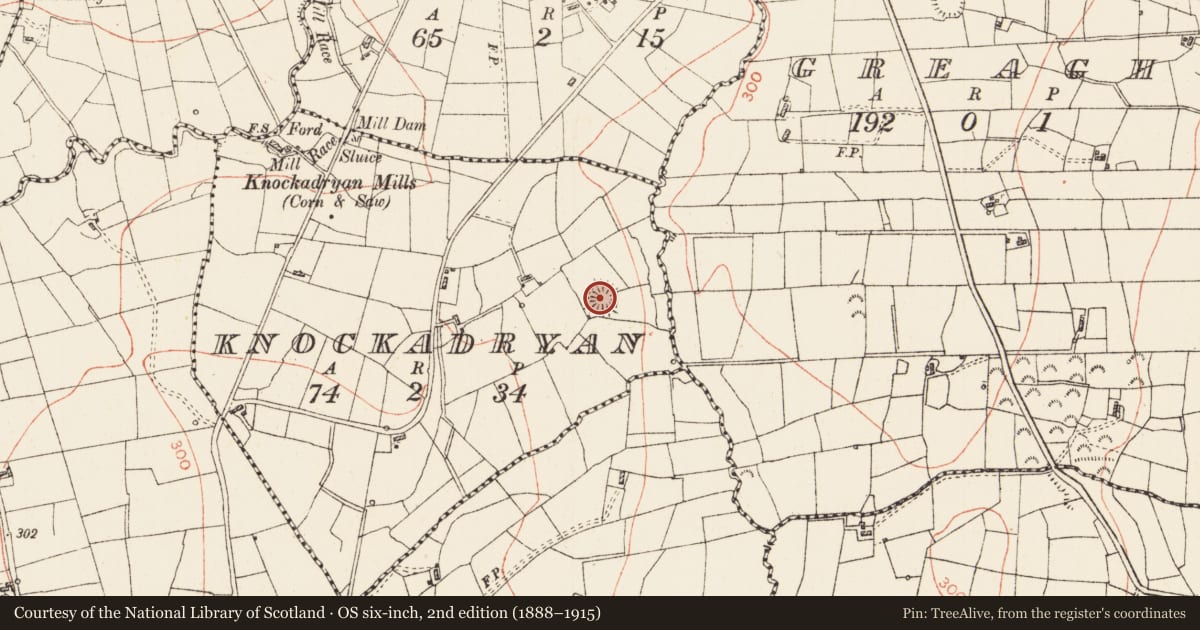 Ordnance Survey six-inch map, 2nd edition (1888–1915) covering the location of Ringfort - rath, Knockadryan, County Roscommon, with a pin at the register's coordinates