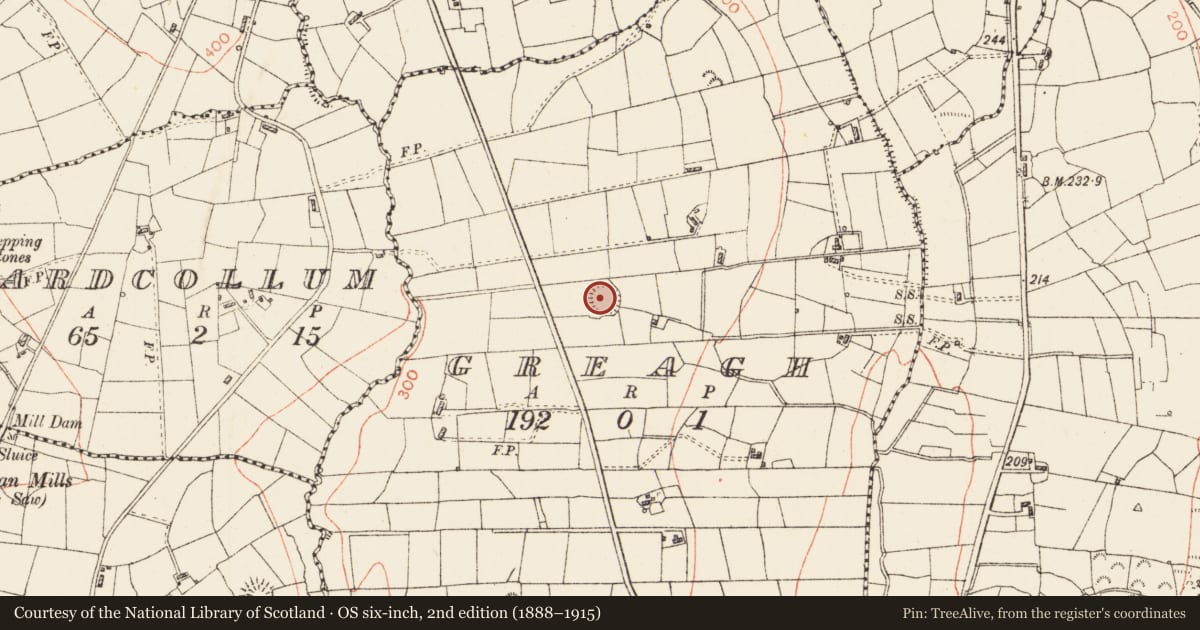 Ordnance Survey six-inch map, 2nd edition (1888–1915) covering the location of Ringfort - rath, Greagh, County Roscommon, with a pin at the register's coordinates