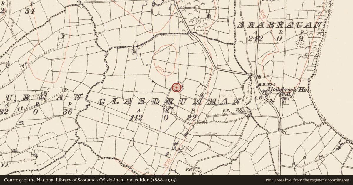 Ordnance Survey six-inch map, 2nd edition (1888–1915) covering the location of Ringfort - rath, Glasdrumman, County Roscommon, with a pin at the register's coordinates