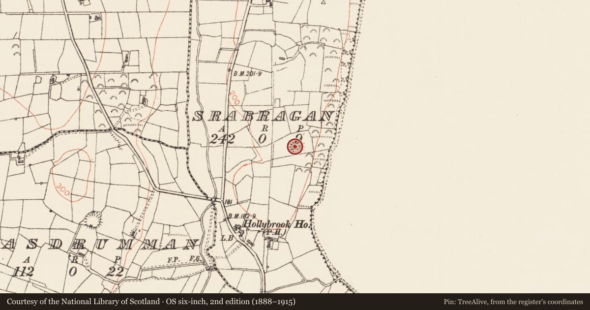 Ordnance Survey six-inch map, 2nd edition (1888–1915) covering the location of Ringfort - rath, Srabragan, County Roscommon, with a pin at the register's coordinates