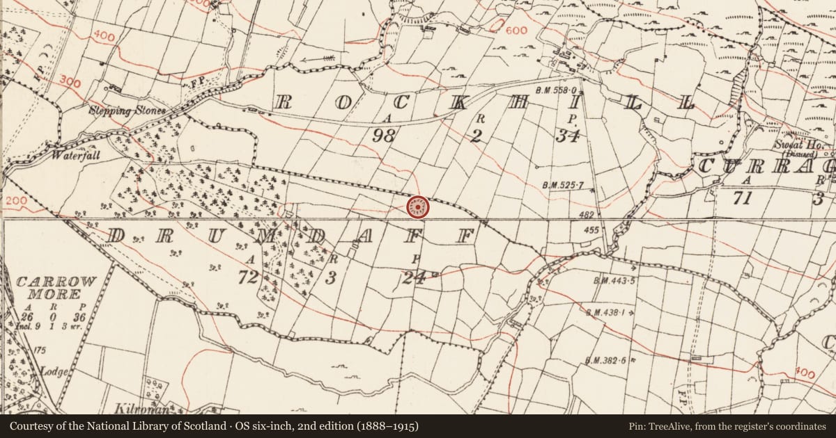 Ordnance Survey six-inch map, 2nd edition (1888–1915) covering the location of Ringfort - rath, Drumdaff, County Roscommon, with a pin at the register's coordinates