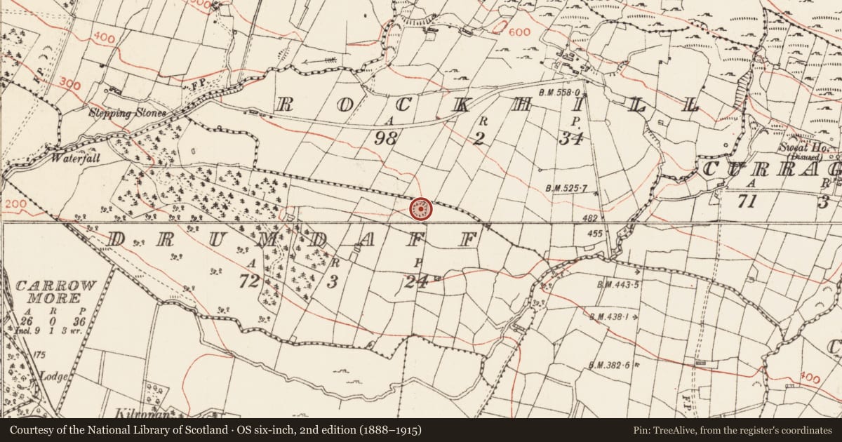 Ordnance Survey six-inch map, 2nd edition (1888–1915) covering the location of House - indeterminate date, Drumdaff, County Roscommon, with a pin at the register's coordinates