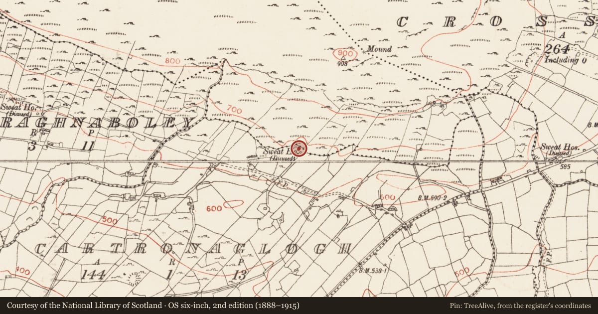 Ordnance Survey six-inch map, 2nd edition (1888–1915) covering the location of Sweathouse, Cartronaglogh, County Roscommon, with a pin at the register's coordinates