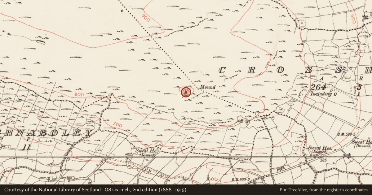 Ordnance Survey six-inch map, 2nd edition (1888–1915) covering the location of Cairn - unclassified, Kilronan Mountain, County Roscommon, with a pin at the register's coordinates