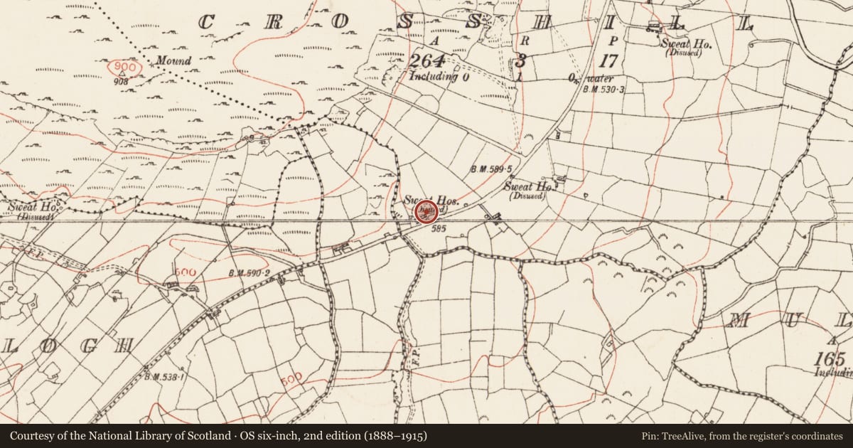 Ordnance Survey six-inch map, 2nd edition (1888–1915) covering the location of Sweathouse, Crosshill, County Roscommon, with a pin at the register's coordinates
