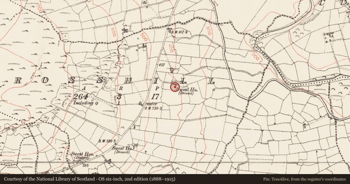 Ordnance Survey six-inch map, 2nd edition (1888–1915) covering the location of Sweathouse, Crosshill, County Roscommon, with a pin at the register's coordinates