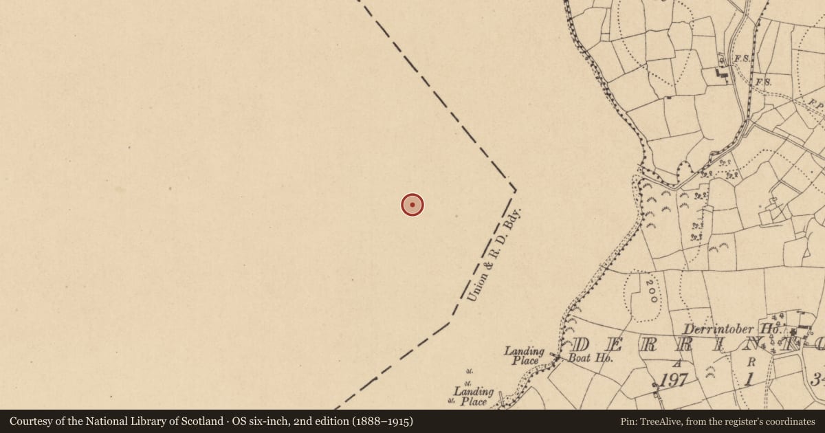 Ordnance Survey six-inch map, 2nd edition (1888–1915) covering the location of Ringfort - rath, Inisfale Island, County Roscommon, with a pin at the register's coordinates