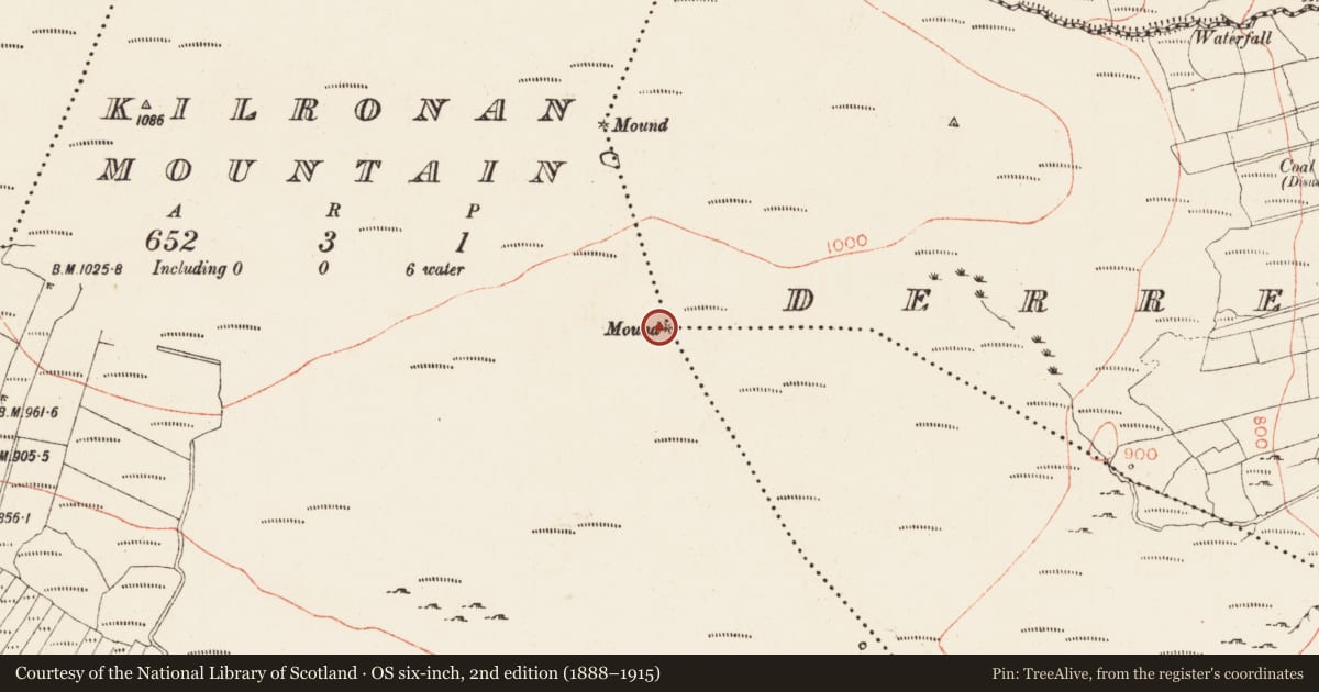 Ordnance Survey six-inch map, 2nd edition (1888–1915) covering the location of Boundary mound, County Roscommon, with a pin at the register's coordinates