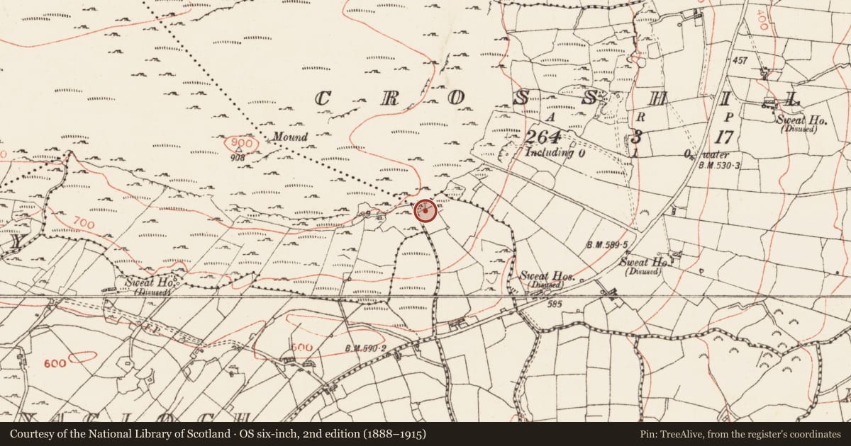 Ordnance Survey six-inch map, 2nd edition (1888–1915) covering the location of Sweathouse, Lurgaboy, County Roscommon, with a pin at the register's coordinates