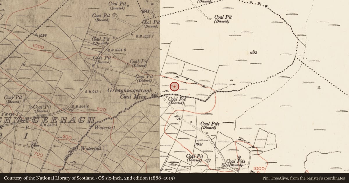 Ordnance Survey six-inch map, 2nd edition (1888–1915) covering the location of Burial, Greaghnageeragh, County Roscommon, with a pin at the register's coordinates