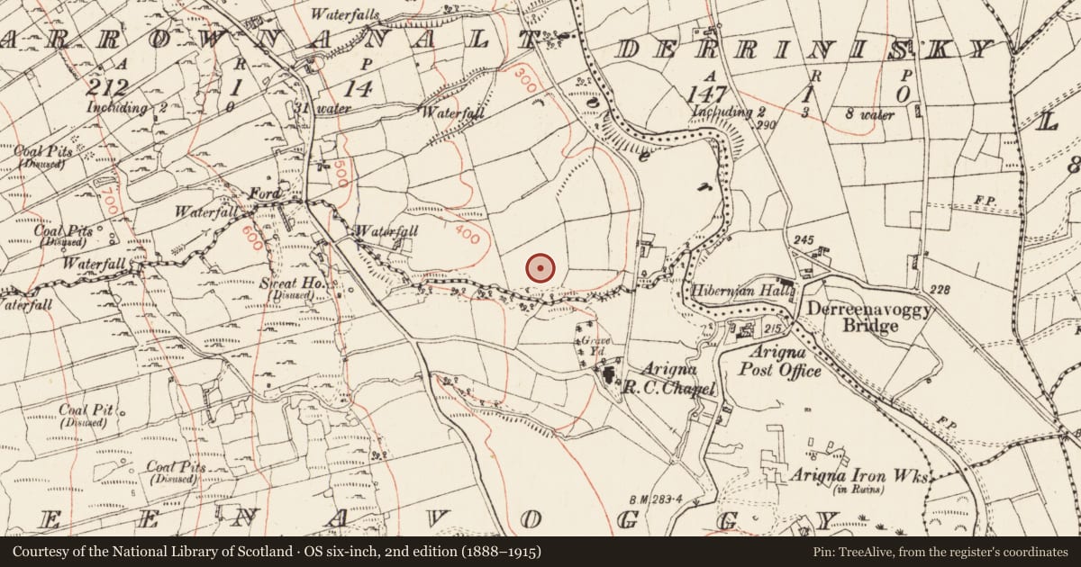 Ordnance Survey six-inch map, 2nd edition (1888–1915) covering the location of Ringfort - rath, Carrownanalt, County Roscommon, with a pin at the register's coordinates