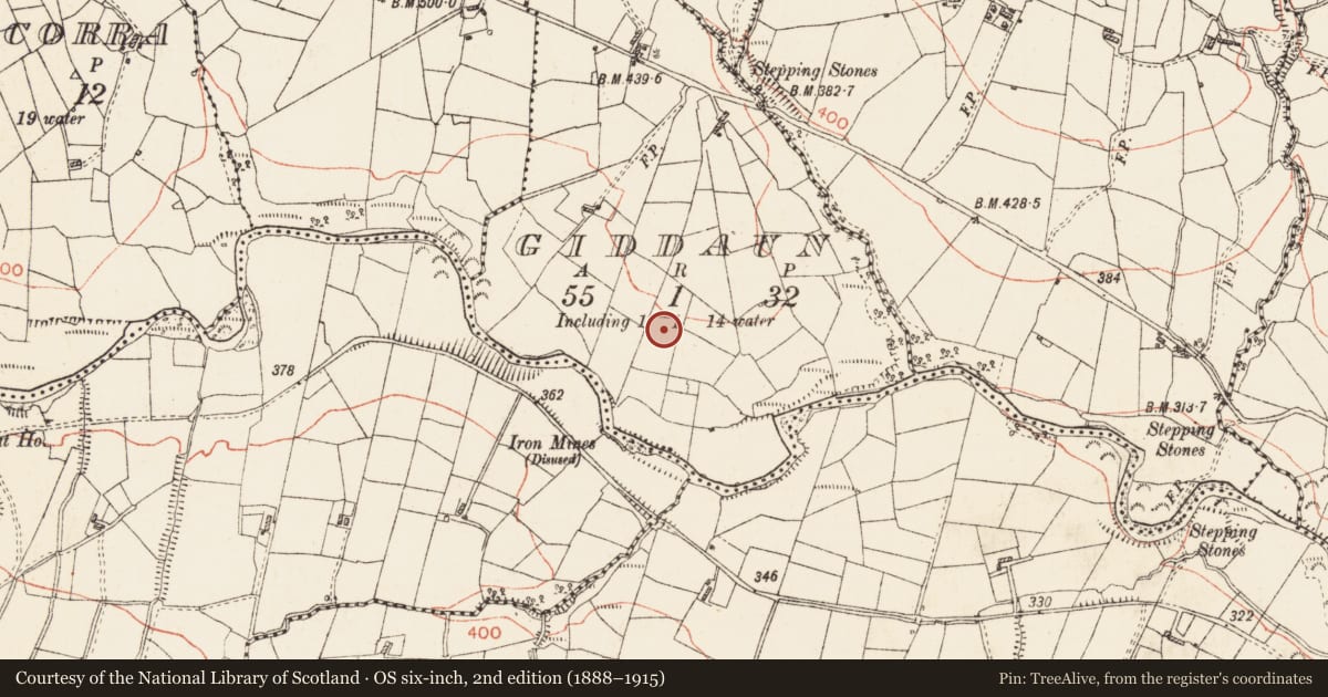 Ordnance Survey six-inch map, 2nd edition (1888–1915) covering the location of Ringfort - rath, Giddaun, County Roscommon, with a pin at the register's coordinates