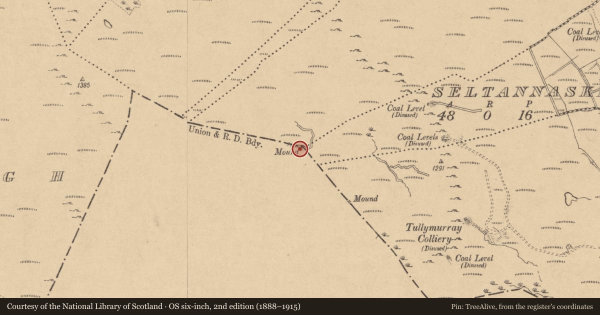 Ordnance Survey six-inch map, 2nd edition (1888–1915) covering the location of Boundary mound, Greaghnaglogh, County Roscommon, with a pin at the register's coordinates
