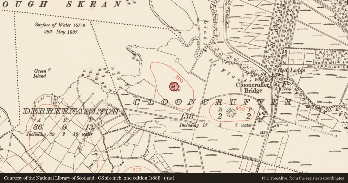 Ordnance Survey six-inch map, 2nd edition (1888–1915) covering the location of Designed landscape - tree-ring, Clooncruffer, County Roscommon, with a pin at the register's coordinates