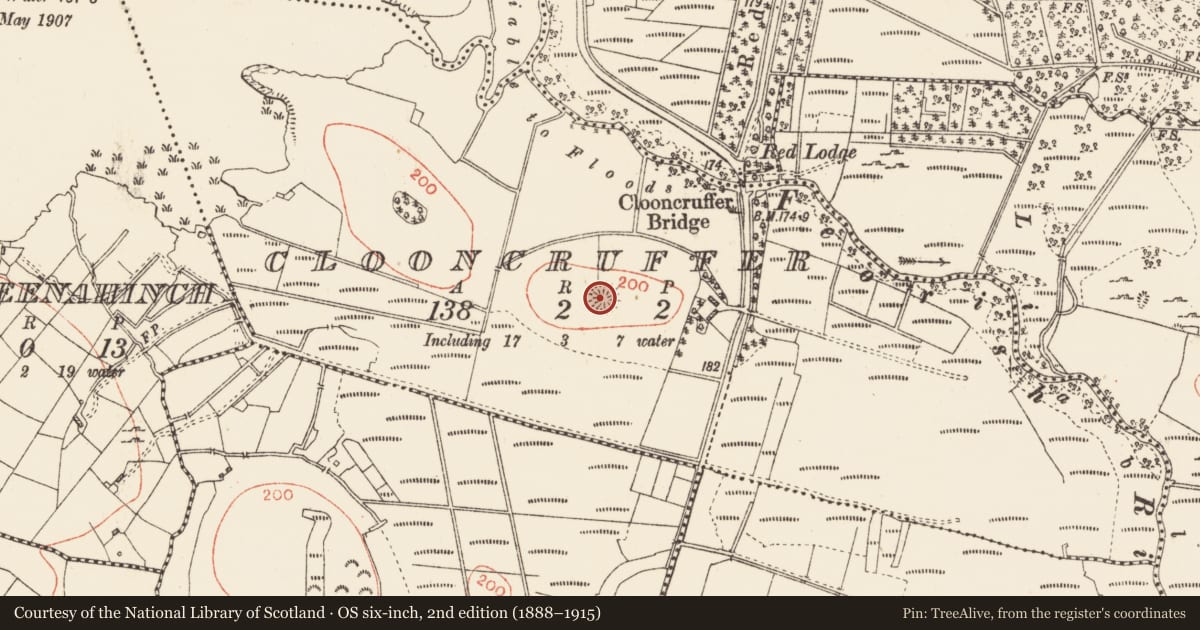 Ordnance Survey six-inch map, 2nd edition (1888–1915) covering the location of Ringfort - rath, Clooncruffer, County Roscommon, with a pin at the register's coordinates