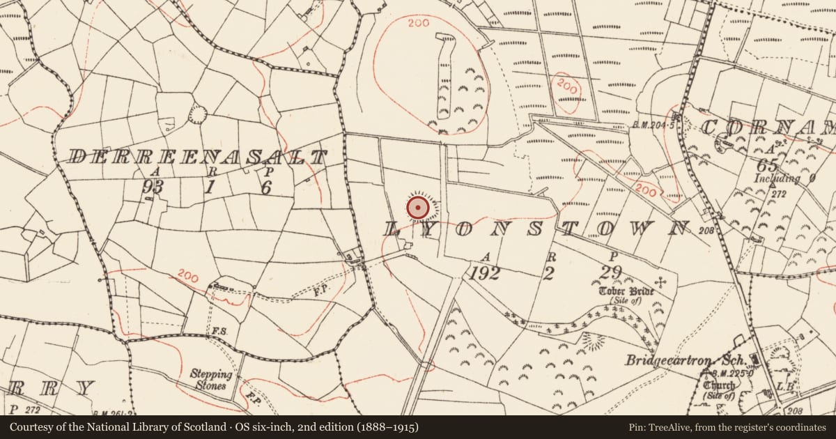 Ordnance Survey six-inch map, 2nd edition (1888–1915) covering the location of Ringfort - rath, Lyonstown, County Roscommon, with a pin at the register's coordinates